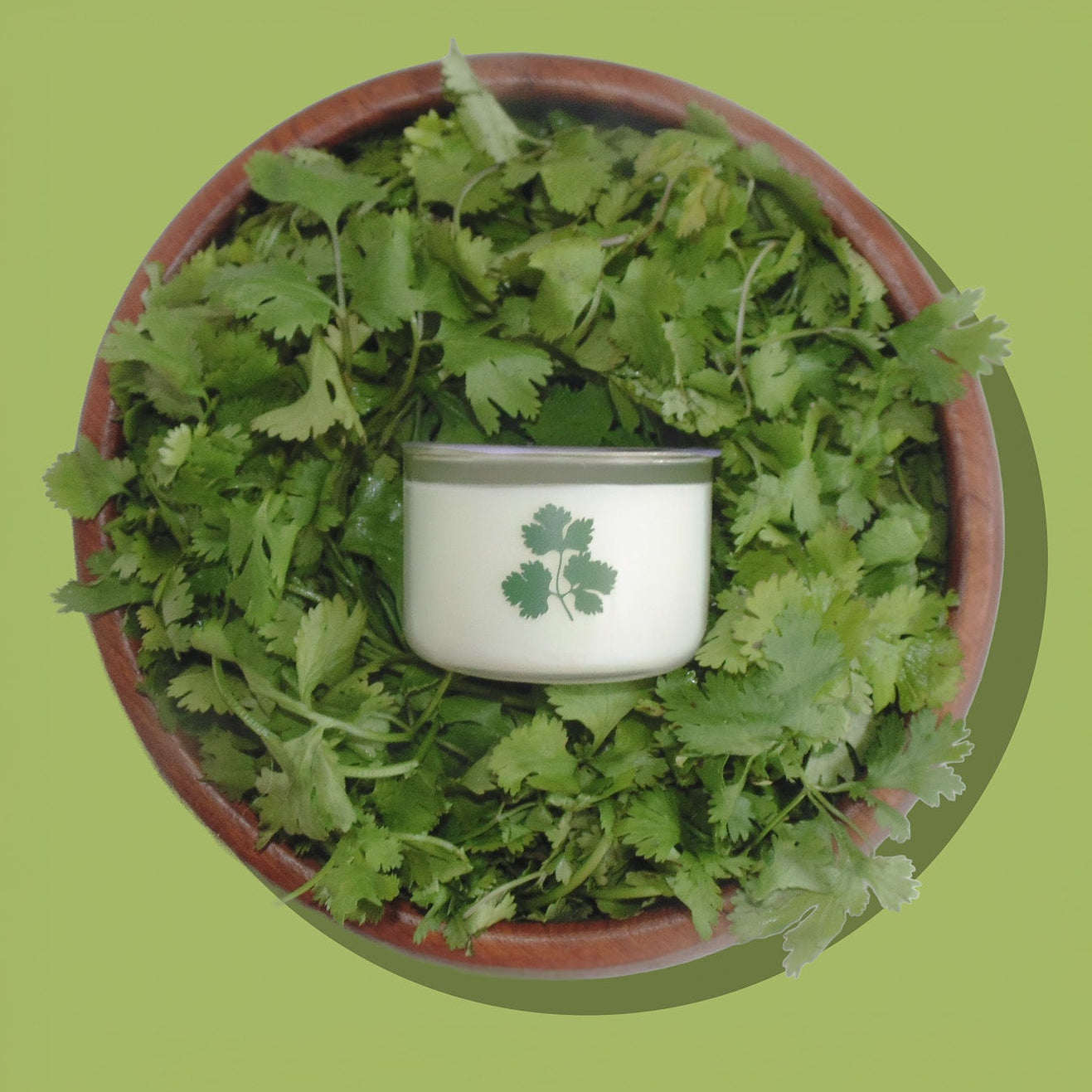Potted plant with a small container featuring a clover design on a green background