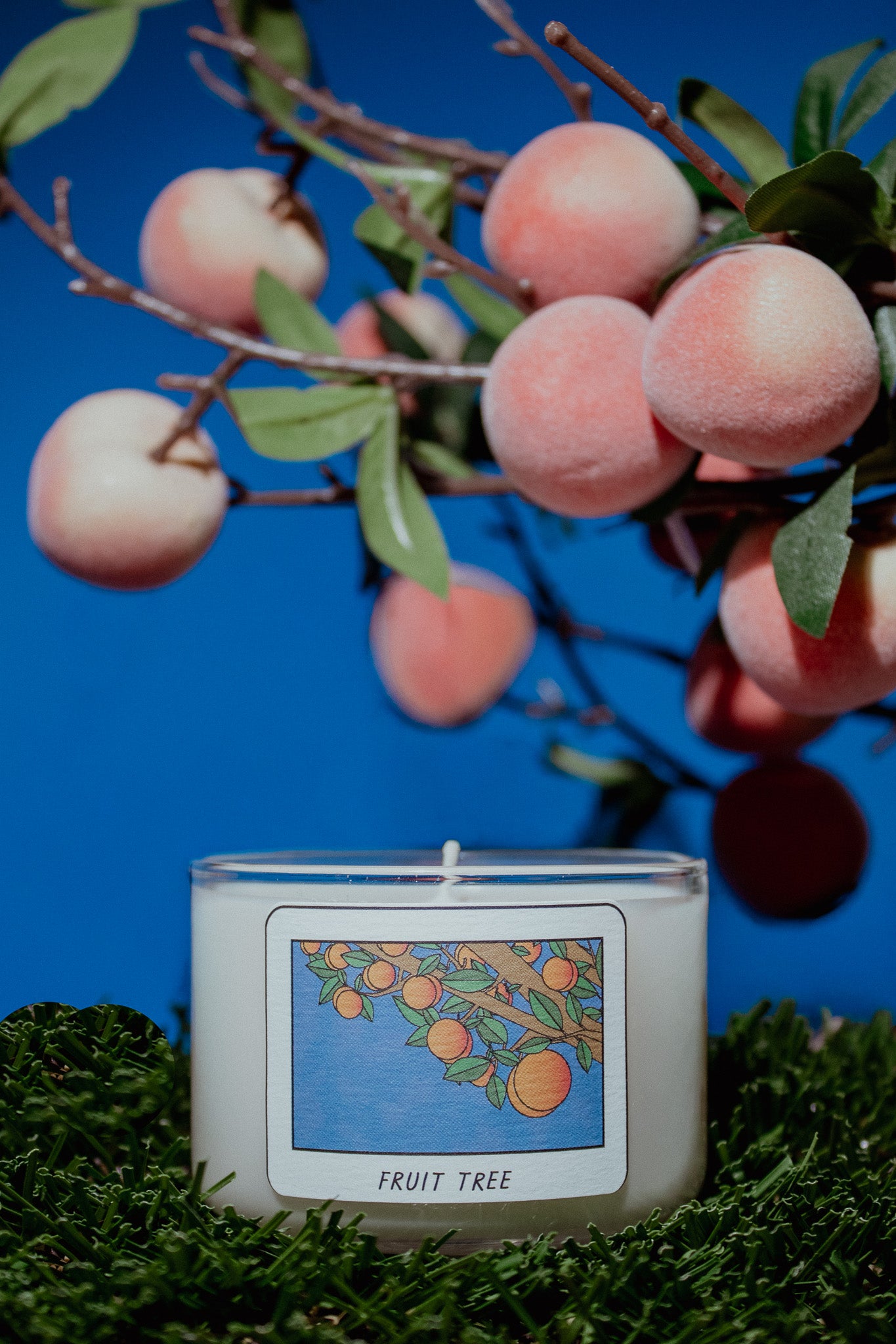 FRUIT TREE